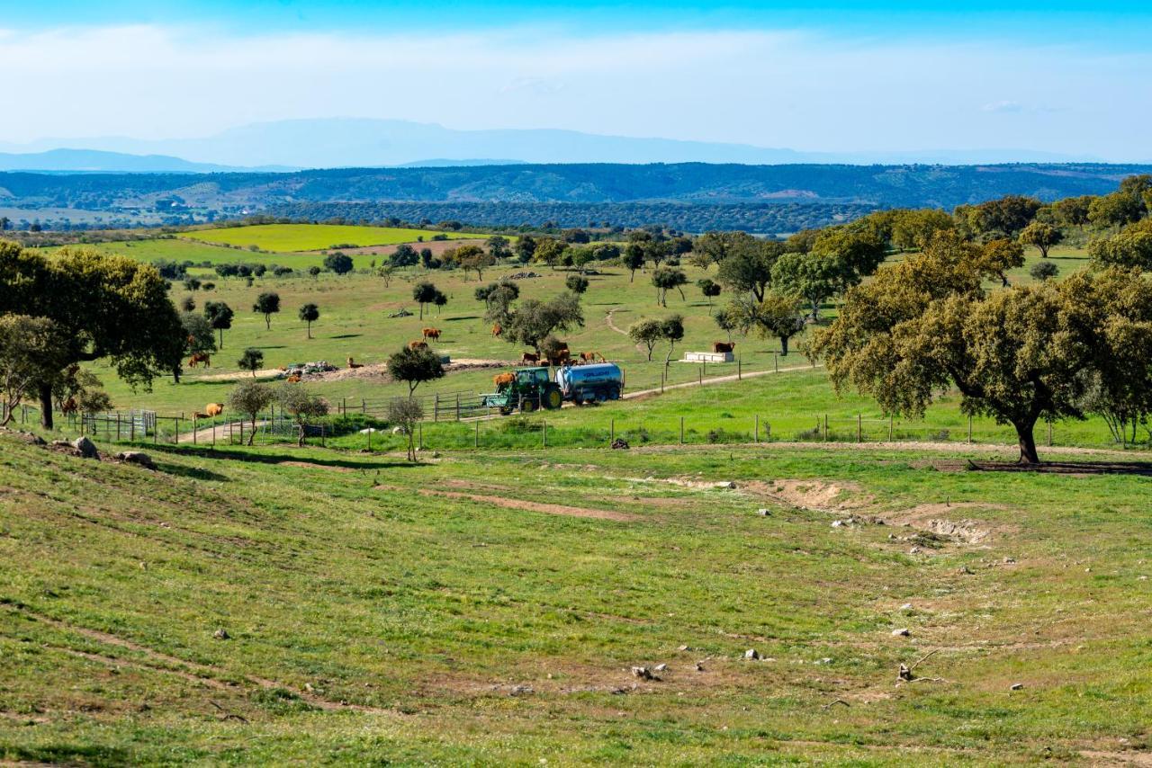 Moradia Gemea 2 Em Herdade Santa Marta Zebreira 외부 사진